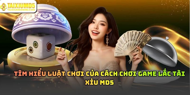 Cách chơi game lắc Tài Xỉu MD5 cho người mới bắt đầu