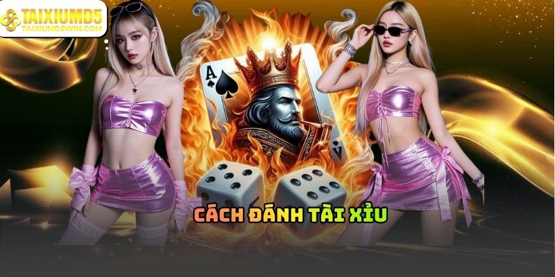 Cách Đánh Tài Xỉu Và Cách Hiểu Đúng Khi Tham Gia
