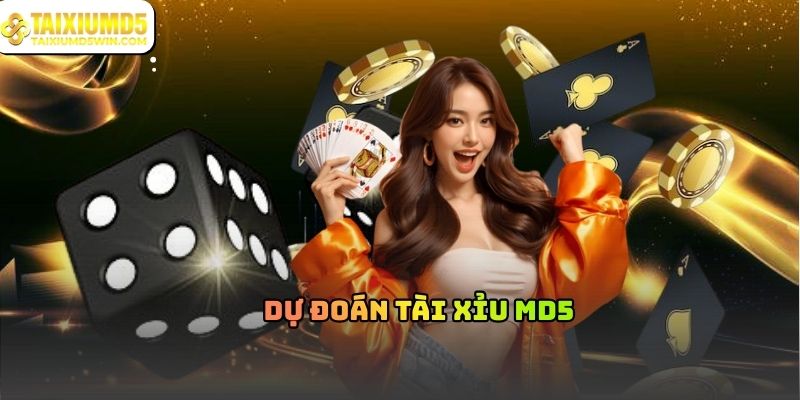 Dự Đoán Tài Xỉu MD5 Và Cách Hiểu Đúng Bản Chất Cơ Chế
