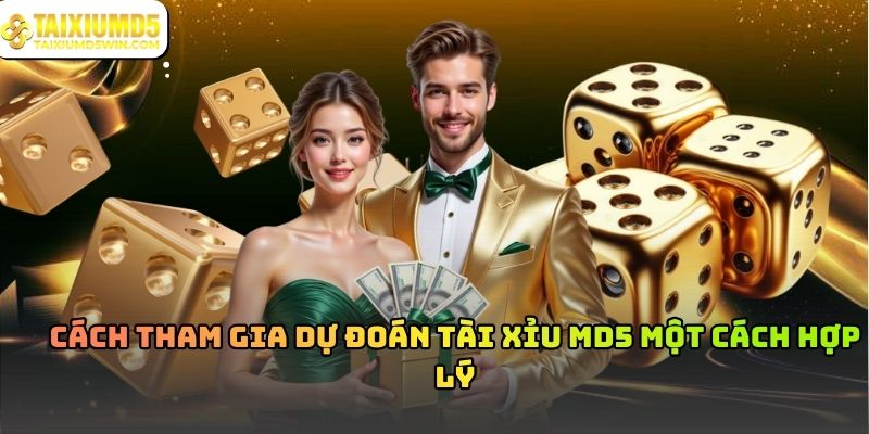 Dự Đoán Tài Xỉu MD5 Và Cách Hiểu Đúng Bản Chất Cơ Chế