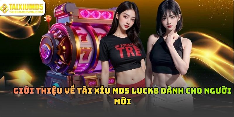 Tài Xỉu MD5 Luck8 Và Cách Hoạt Động Dựa Trên Cơ Chế Kiểm Chứng