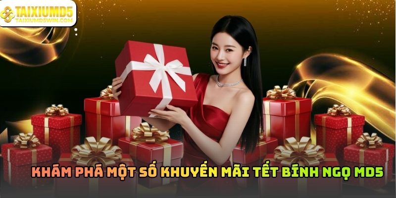 Khuyến mãi Tết Bính Ngọ MD5: Ưu đãi đầu năm 2026